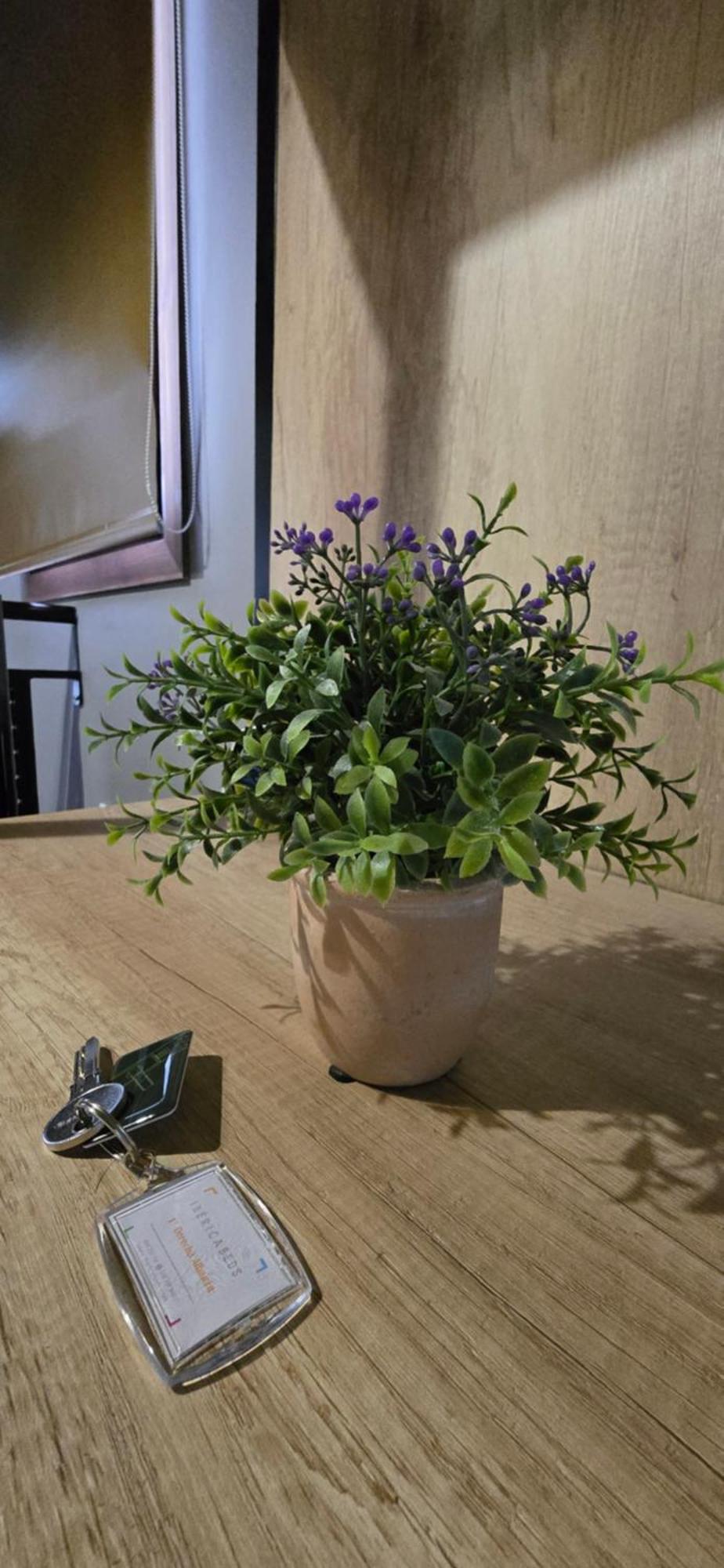 Ibericabeds Albaicin Apartment Гранада Екстериор снимка